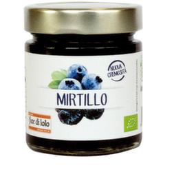 COMPOSTA MIRTILLO 250 G - doctorpill.it