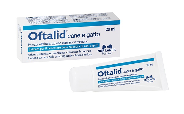 OFTALID POMATA OFTALMICA 20 ML - doctorpill.it