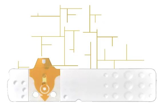 STRISCE MISURAZIONE GLICEMIA LINEA D ORO 25 PEZZI - doctorpill.it