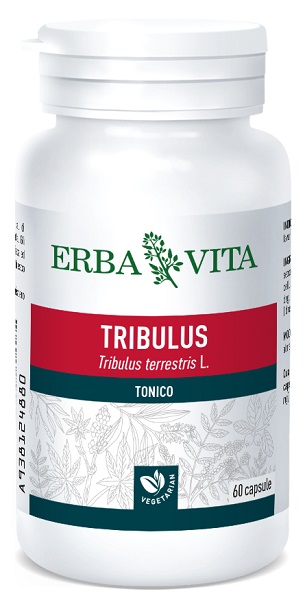 TRIBULUS TERRESTRIS 60 CAPSULE 500 MG - doctorpill.it