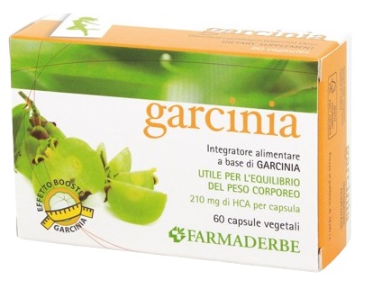 GARCINIA 60 CAPSULE 34,2 G - doctorpill.it