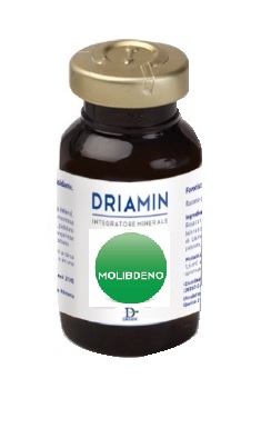 DRIAMIN MOLIBDENO 15 ML - doctorpill.it
