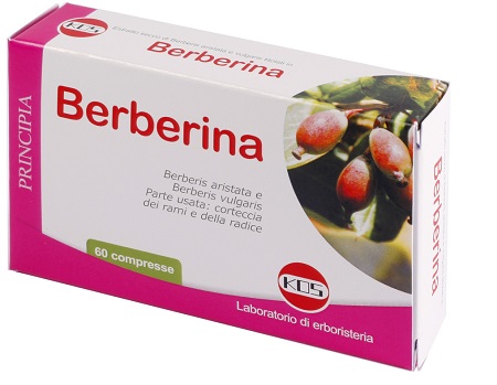 BERBERINA ESTRATTO SECCO 60 COMPRESSE - doctorpill.it