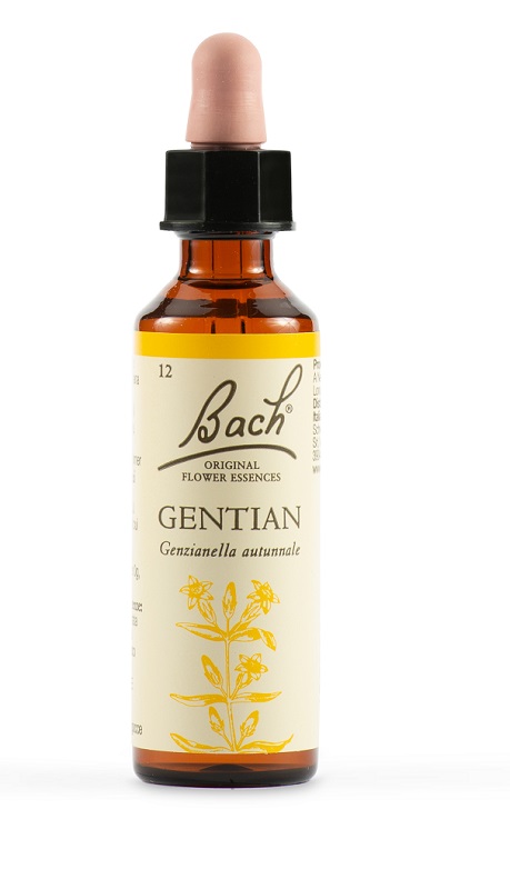 GENTIAN BACH ORIG 20 ML - doctorpill.it