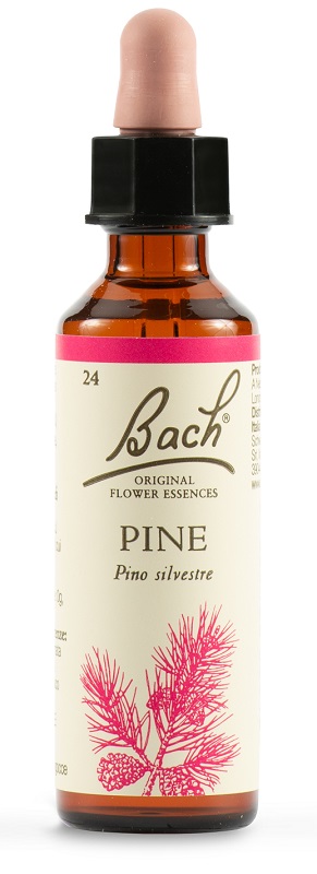 PINE BACH ORIG 20 ML - doctorpill.it