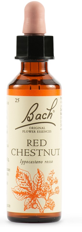 RED CHESTNUT BACH ORIG 20 ML - doctorpill.it