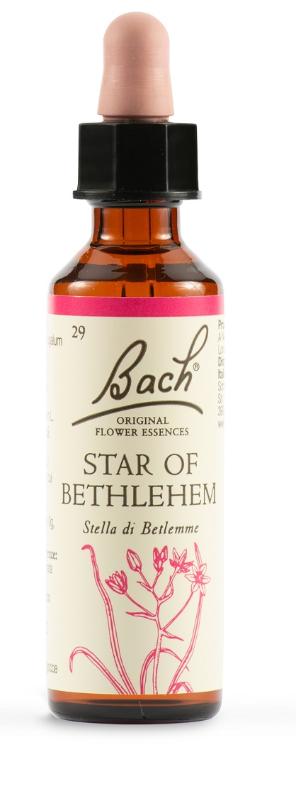 STAR OF BETHL ORIG 20 ML - doctorpill.it