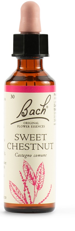 SWEET CHEST BACH ORIG 20 ML - doctorpill.it