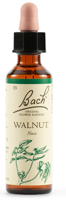 WALNUT BACH ORIG 20 ML - doctorpill.it