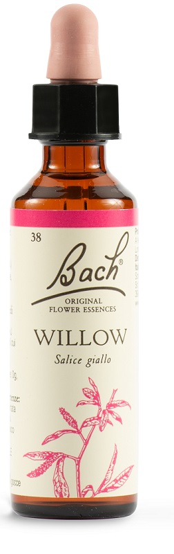 WILLOW BACH ORIG 20 ML - doctorpill.it