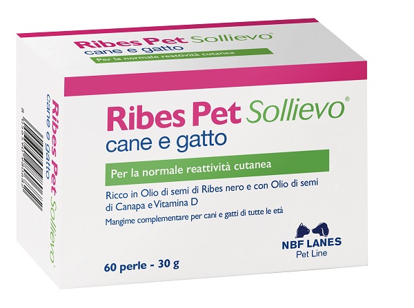 RIBES PET SOLLIEVO BLISTER 60 PERLE - doctorpill.it