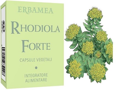 RHODIOLA FORTE 24 CAPSULE - doctorpill.it