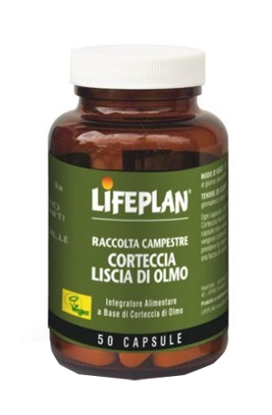 CORTECCIA LISCIA DI OLMO 50 CAPSULE - doctorpill.it