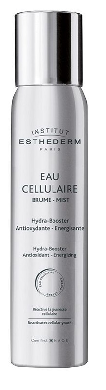 INSTI EAU CELLULAIRE BRUME 100 ML - doctorpill.it