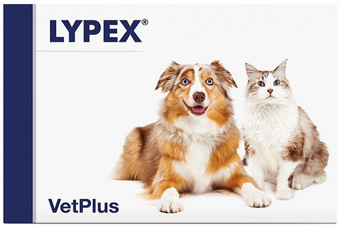 LYPEX 60 CAPSULE - doctorpill.it