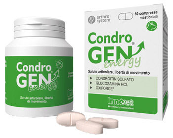 CONDROGEN ENERGY 60 COMPRESSE MASTICABILI - doctorpill.it