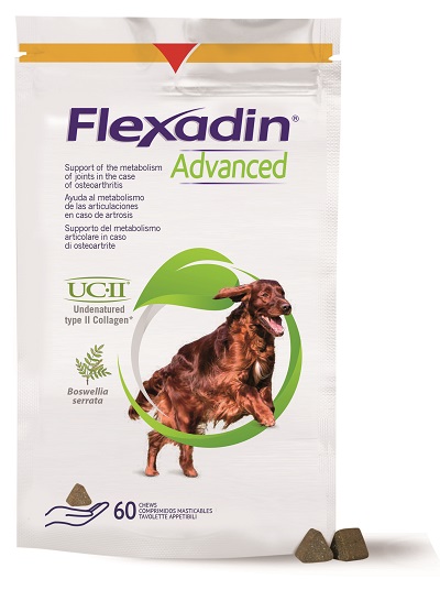 FLEXADIN ADVANCED CANE TUTTE LE TAGLIE 60 TAVOLETTE APPETIBILI - doctorpill.it