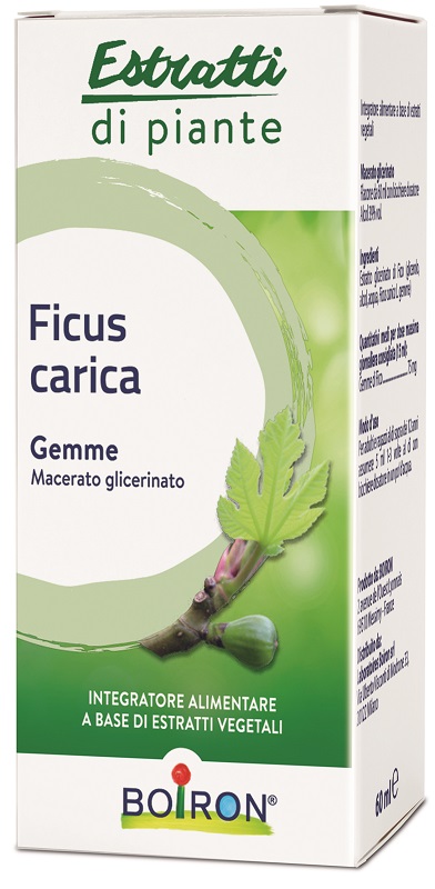 FICUS CARICA BOIRON MACERATO GLICERICO 60 ML - doctorpill.it