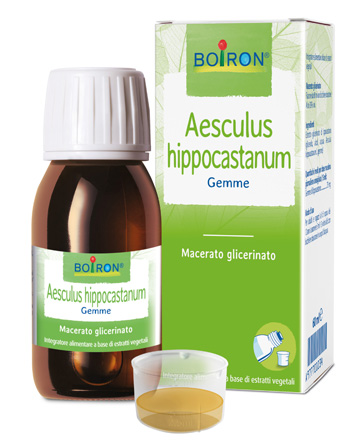 AESCULUS HIPP BOIRON MACERATO GLICERICO 60 ML - doctorpill.it