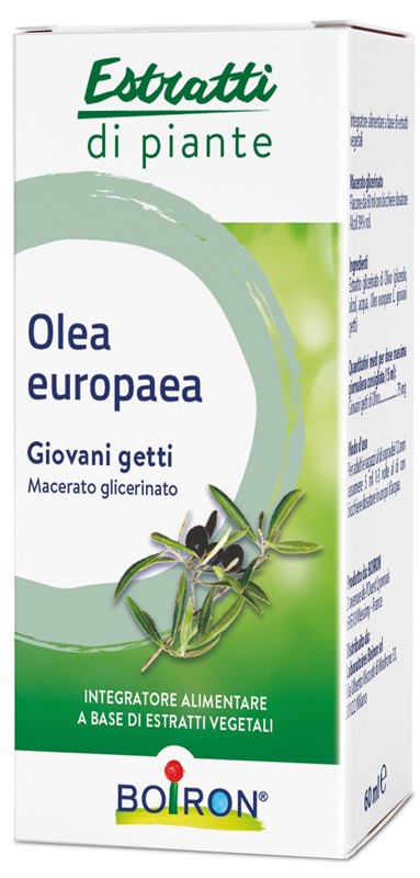 OLEA EUROPAEA BOIRON MACERATO GLICERICO 60 ML - doctorpill.it