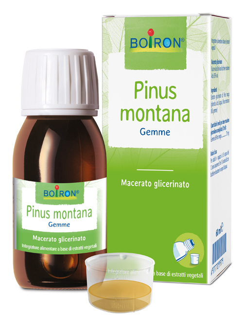 PINUS MONTANA BOIRON MACERATO GLICERICO 60 ML - doctorpill.it