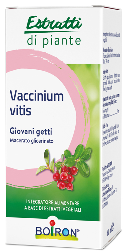 VACCINIUM VITIS MACERATO GLICERICO 60 ML - doctorpill.it