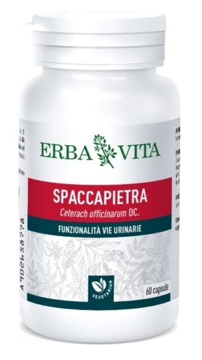 SPACCAPIETRA 60 CAPSULE - doctorpill.it