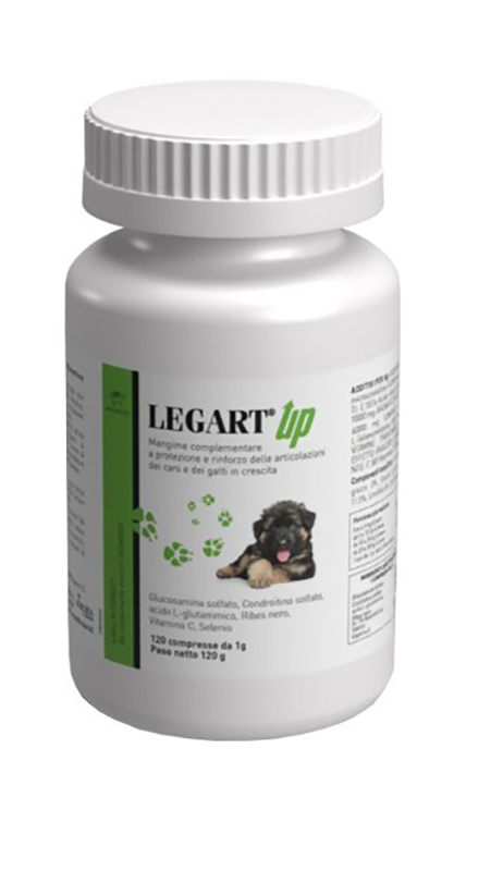 LEGART UP 120 COMPRESSE - doctorpill.it