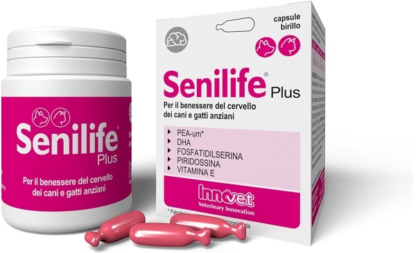 SENILIFE PLUS 30 CAPSULE - doctorpill.it