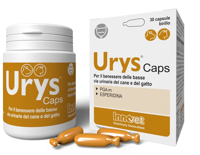 URYS CAPS 30 CAPSULE - doctorpill.it