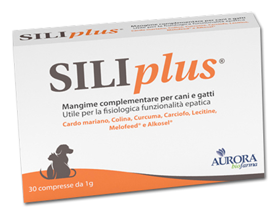 SILIPLUS 30 COMPRESSE - doctorpill.it
