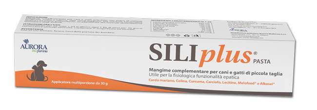 SILIPLUS PASTA 30 G - doctorpill.it